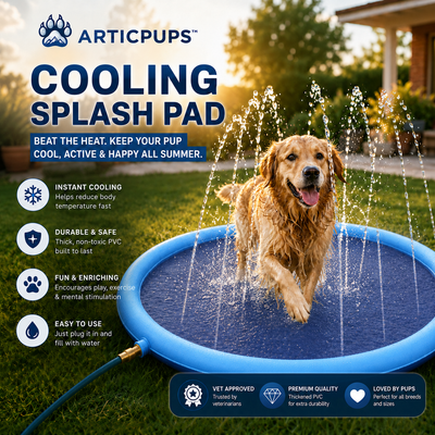 Spruzzi d'acqua | Parco giochi acquatico estivo per cani