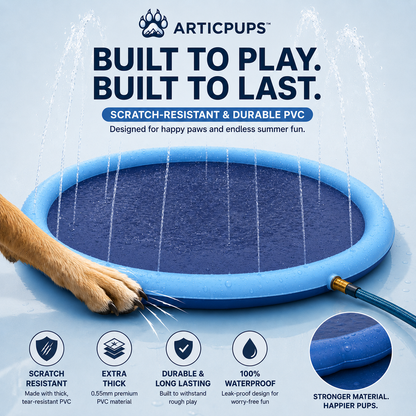 Spruzzi d'acqua | Parco giochi acquatico estivo per cani